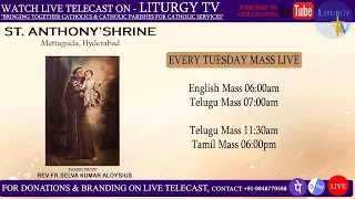 Fr. Jaison | Tuesday Telugu Mass 11.30am | St. Anthony's Shrine Mettuguda | 28-5-24