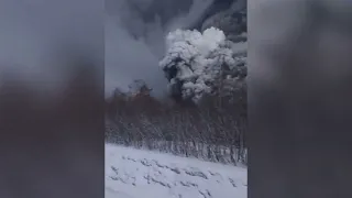 Камчатский вулкан Шивелуч выбросил огромный столб пепла