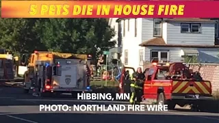 5 Pets Die In House Fire