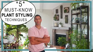 Plant Styling Techniques Every Plant Parent Should Know! 5 Proven Ways To Improve Your Plant Space!!
