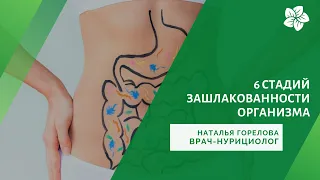 6 стадий зашлакованности организма, часть 1