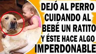 Dejó A Mascota Cuidando A Su Hijo Un Ratito Mientras Cocinaba Pero Ésta Hace Algo Imperdonable