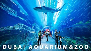 Dubai Aquarium & Underwater Zoo 2023