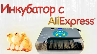 Инкубатор с AliExpress на 12 куриных яиц. Полная инструкция. Вывели цыплят