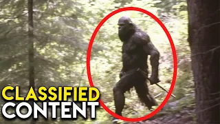 Most Disturbing Trail Cam Footage No One Expected