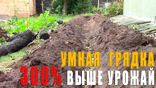 Эта грядка будет давать 300% урожая без прополки и полива - Грядка Розума - Бублика