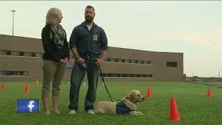 Prison inmates train service dog for soldier with PTSD