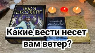 Какие вести несет вам ветер? Гадание на таро Расклад онлайн Свежие гадания ютуб