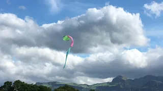 Amazing Kite with Village View