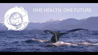 One Health One Future
