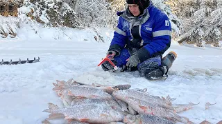 THAT'S WHAT BITING IS LIKE WHEN YOU'RE ON THE RIVER ALONE. FIRST ICE 2020-2021. WINTER FISHING 2020