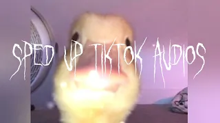 Sped up tiktok Audios part 533 that the best thing