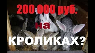 Поднять 200000 рублей на кроликах?!