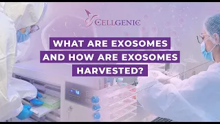 What Are Exosomes and How Are They Harvested? | Cellgenic