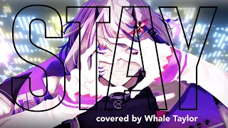 STAY - The Kid LAROI, Justin Bieber /  Covered by Whale Taylor【ホエテラ】