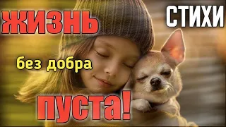 Стихи о доброте "ДОБРОТА" Стихи для души