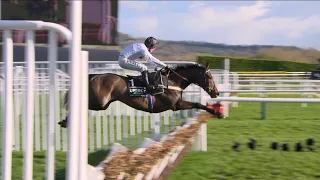 CONSTITUTION HILL is pure perfection as he runs away with the 2023 Champion Hurdle