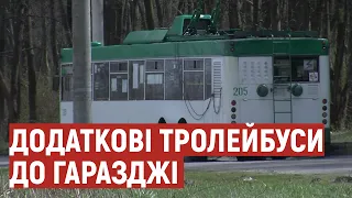 Лучани просять пустити додаткові тролейбуси до міського кладовища: що кажуть у Луцькій міській раді