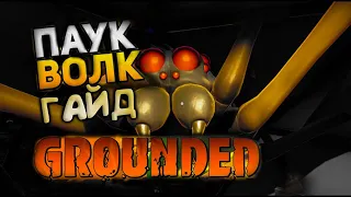 grounded КАК УБИТЬ ПАУКА ВОЛКА | ГРАУНДЕД | grounded ГАЙД