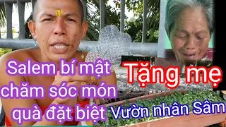 Thái Salem ăn xin tìm mẹ già bán vé số để tặng món quà" đặt biệt"si