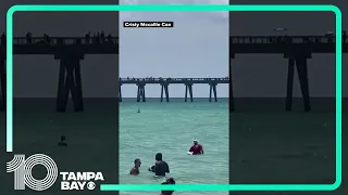 Shark spotted at Navarre Beach, Florida, sends people rushing out of water