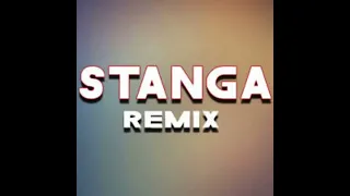 Stanga Remix (Slowed)