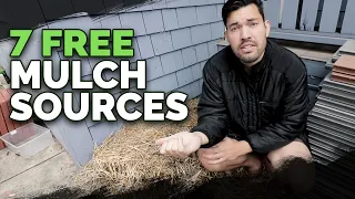 7 Cheap (Or Free) Mulch Sources and How To Use Them In Your Garden