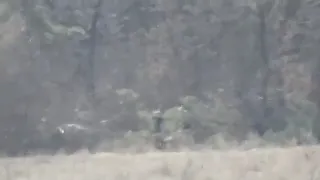 Снайперы ВСН атаковали боевиков ВСУ