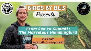 From Sea to Summit  The Marvelous Hummingbird