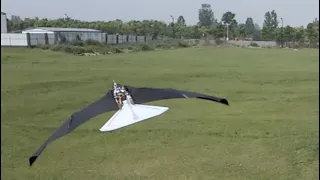 Ornithopter with morphing-coupled wingbeat pattern