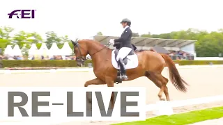 RE-LIVE | Qualification 6yo horses - FEI WBFSH Dressage World Breeding Championship for Young Horses