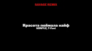 Konfuz, T-Fest - Красота поймала кайф (SAVAGE REMIX)