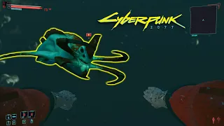 Subnautica Easter Egg in Cyberpunk 2077