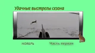 Охота на зайца. Удачные выстрелы - часть первая. Hunting for hares