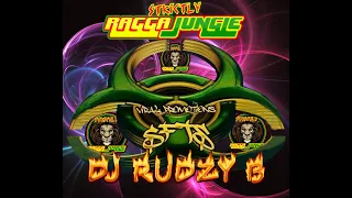 RAGGA JUNGLE DRUM AND BASS MIX 2022 - * LIVE * - reggae dnb - RAGGA JUNGLE DJ