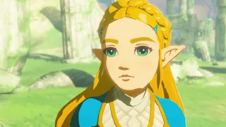 Something about Zelda