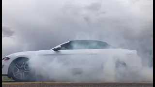 2019 Mustang Ecoboost Line Lock Burnout