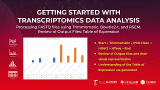 Bulk RNA-Seq Analysis: Processing FASTQ files using Trimmomatic, Bowtie2-t, RSEM (Output Overview)