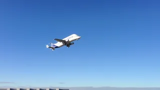 Airbus Beluga Take Off