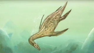 The Truth About The Loch Ness Monster