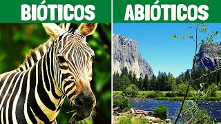 BIOTIC FACTORS and ABIOTIC FACTORS: characteristics and examples🌎🌱