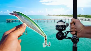 Catching Stud Pelagic Fish from Florida Pier