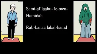 Learn How To Pray 4 Rakat(Units) (Dhuhr, Asr, Isha) Step By Step For Beginners with subtitles (New)