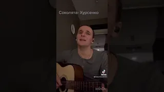 Хурсенко- Соколята