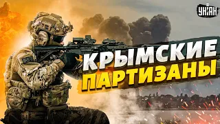 😱Россияне в ужасе, Крым на ушах. Партизаны слили новые цели: ВСУ готовы к атаке