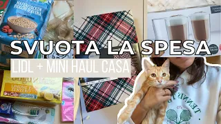 SVUOTA LA SPESA LIDL + mini haul per la casa & cappuccino