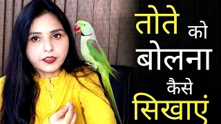 तोते को बोलना कैसे सिखाए ? How to train parrot to talking 🐦tote ko bolna kaise sikhe
