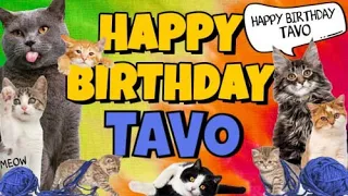 Happy Birthday Tavo! Crazy Cats Say Happy Birthday Tavo (Very Funny)