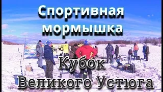 "Кубок Великого Устюга по спортивной мормышке" 7 апреля 2018 год. Затон СРЗ