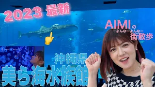 沖縄美ら海水族館で癒された！2023年最新 AIMI（ex.ステレオポニー）のお散歩シリーズ